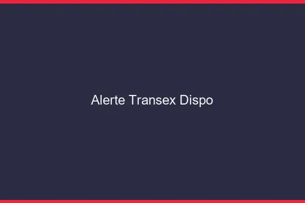 Alerte transex dispo