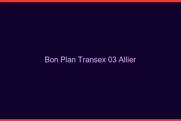 Bon Plan Transex 03 Allier