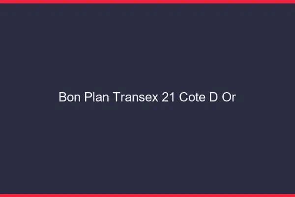 Bon Plan Transex 21 Cote D Or