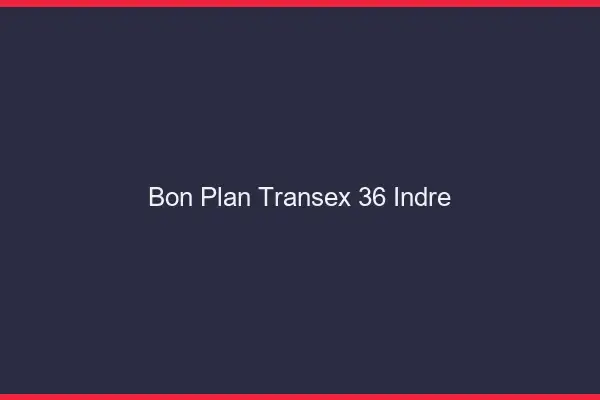 Bon Plan Transex 36 Indre