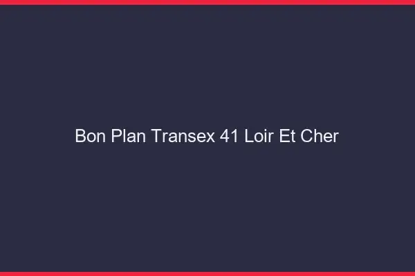 Bon Plan Transex 41 Loir Et Cher
