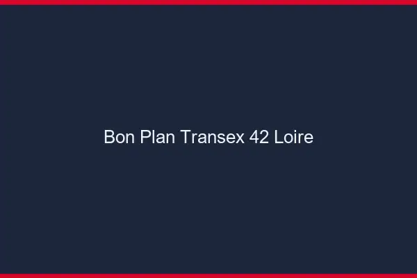 Bon Plan Transex 42 Loire
