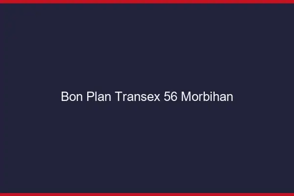 Bon Plan Transex 56 Morbihan