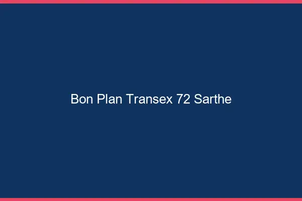 Bon Plan Transex 72 Sarthe