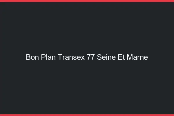 Bon Plan Transex 77 Seine Et Marne