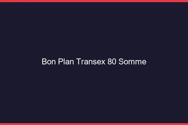 Bon Plan Transex 80 Somme