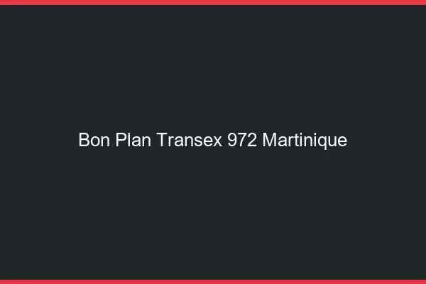 Bon Plan Transex 972 Martinique