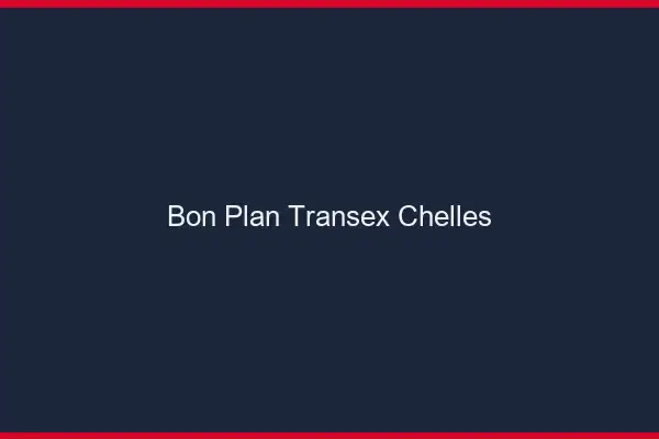 Bon Plan Transex Chelles