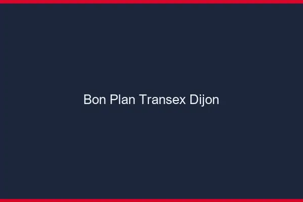 Bon Plan Transex Dijon