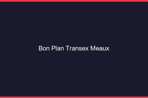 Bon Plan Transex Meaux