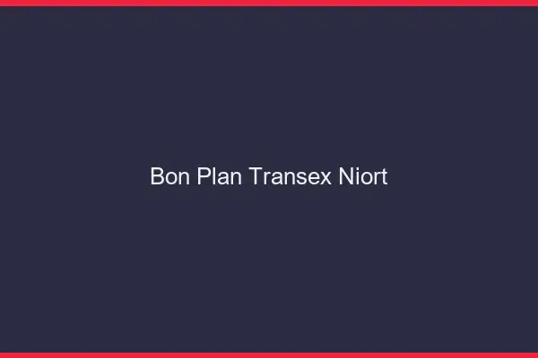 Bon Plan Transex Niort