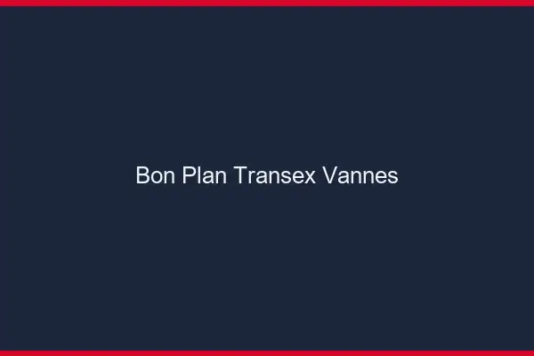 Bon Plan Transex Vannes