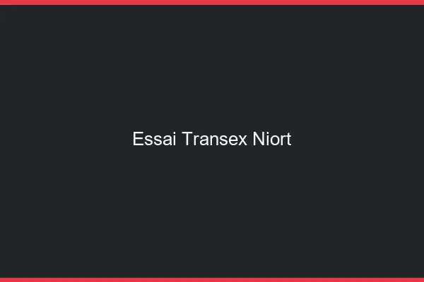 Essai Transex Niort