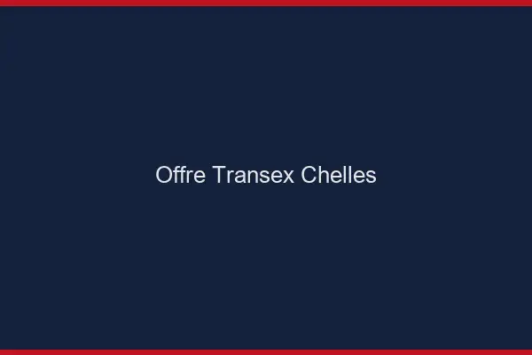 Offre Transex Chelles