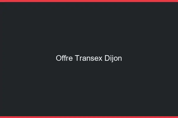 Offre Transex Dijon