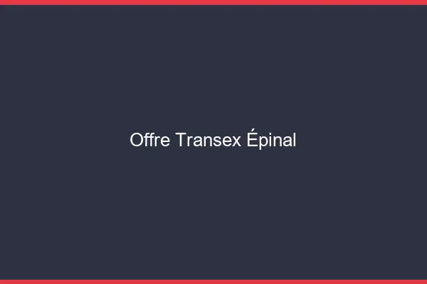 Offre Transex Épinal