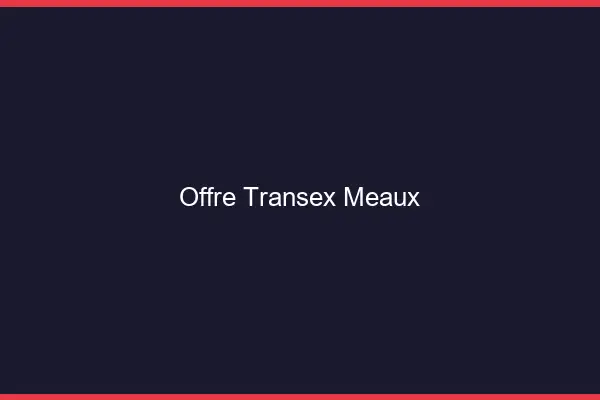 Offre Transex Meaux