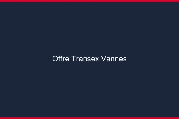Offre Transex Vannes