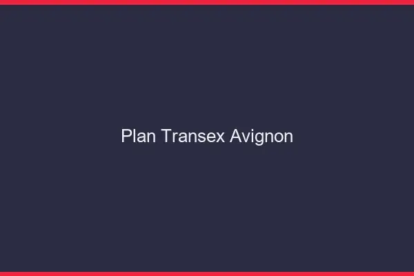 Plan Transex Avignon