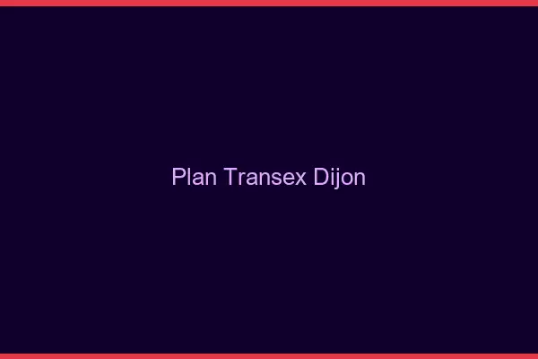 Plan Transex Dijon