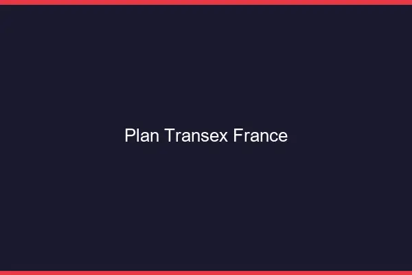 Plan transex France