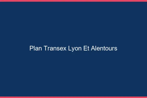 Plan transex Lyon et alentours