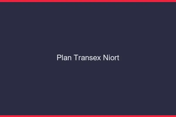 Plan Transex Niort