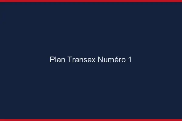 Plan transex numéro 1