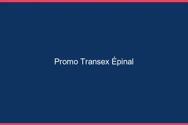 Promo Transex Épinal