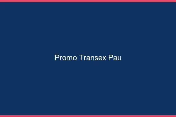Promo Transex Pau