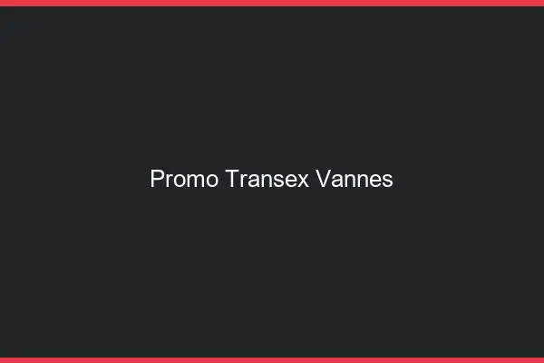 Promo Transex Vannes