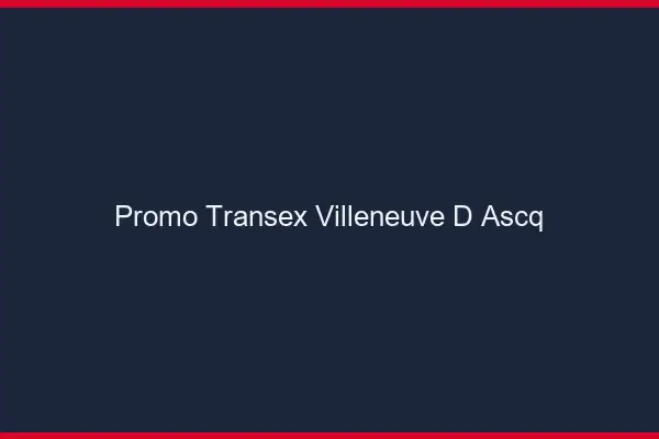 Promo Transex Villeneuve-d'Ascq