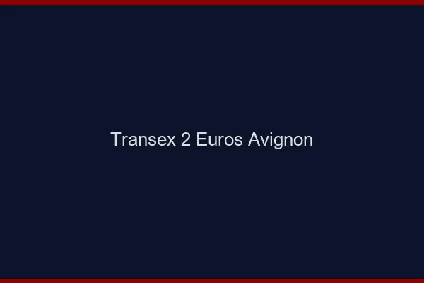 Transex 2 Euros Avignon