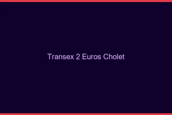 Transex 2 Euros Cholet
