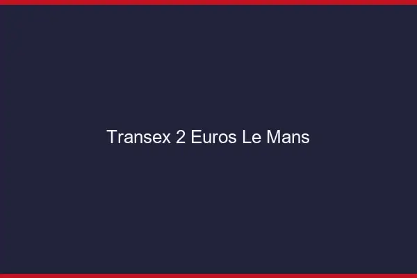 Transex 2 Euros Le Mans
