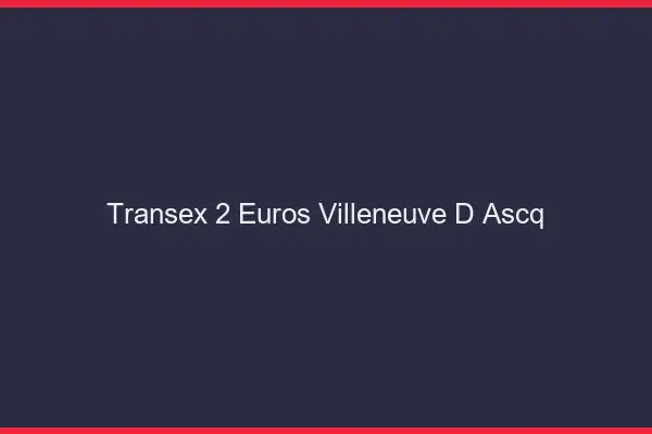 Transex 2 Euros Villeneuve-d'Ascq