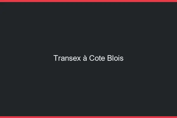 Transex à Côté Blois