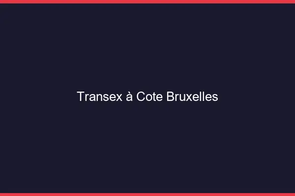 Transex à Côté Bruxelles