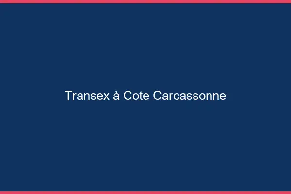 Transex à Côté Carcassonne