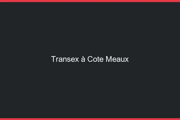 Transex à Côté Meaux