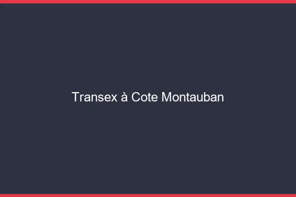 Transex à Côté Montauban