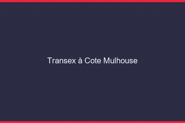 Transex à Côté Mulhouse