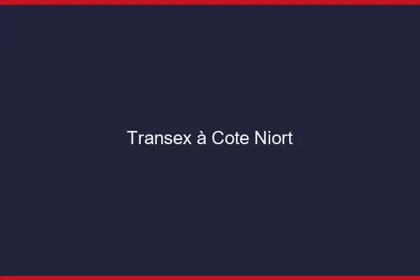 Transex à Côté Niort