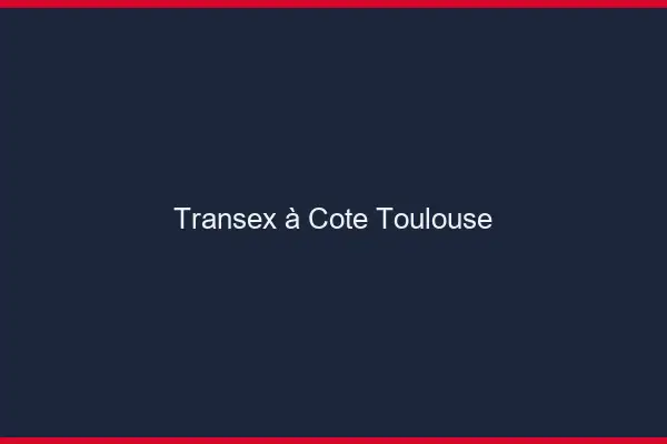 Transex à Côté Toulouse