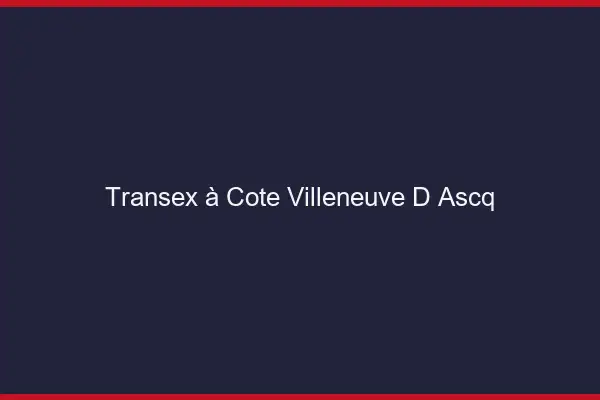 Transex à Côté Villeneuve-d'Ascq