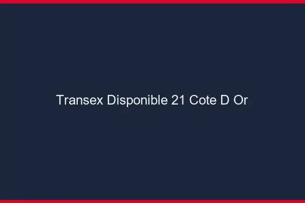 Transex Disponible 21 Cote D Or