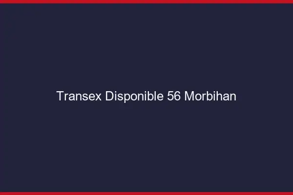 Transex Disponible 56 Morbihan
