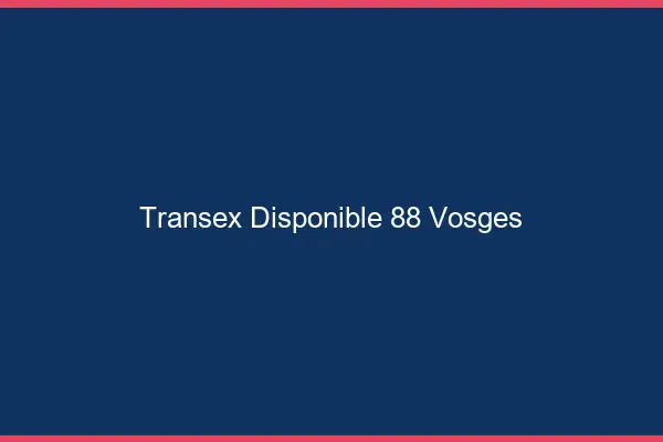 Transex Disponible 88 Vosges