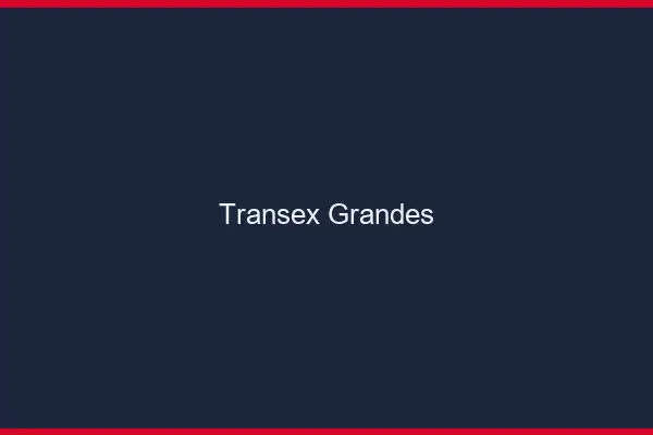 Transex grandes