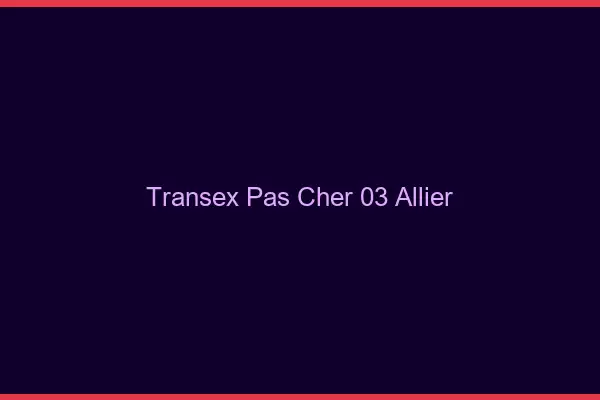 Transex Pas Cher 03 Allier